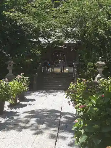 御霊神社(神奈川県)