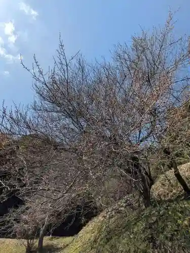 石内のお大師さん　金剛院(広島県)