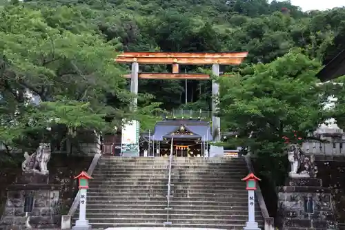 福島縣護國神社の鳥居