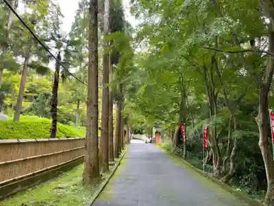 今熊野観音寺(京都府)