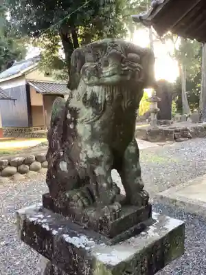 熊野社（塔野地）の狛犬