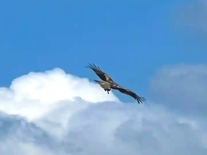 子檀嶺神社(長野県)