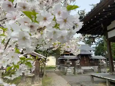 金神社(滋賀県)
