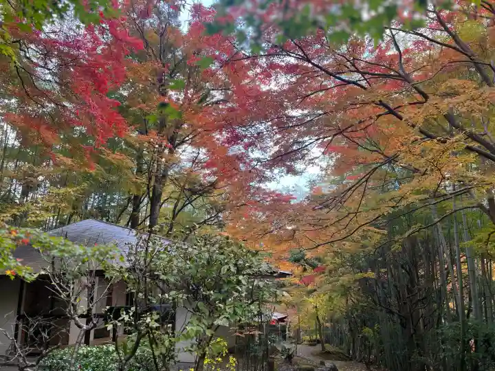 真珠院(神峯山寺塔頭)(大阪府)