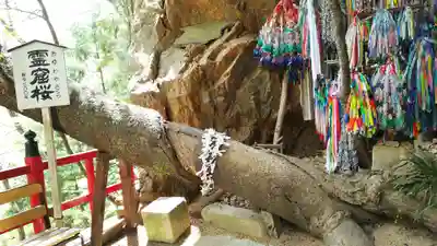 徳善院明王密寺のその他建物