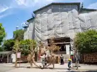 亀戸天神社(東京都)
