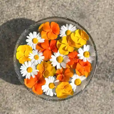 熊本城稲荷神社(熊本県)