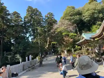 筑波山神社(茨城県)