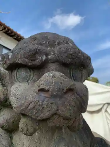 菖蒲神社の狛犬