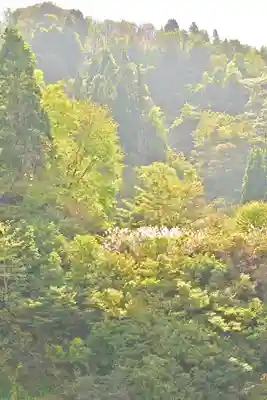 髙龍神社 中社(新潟県)