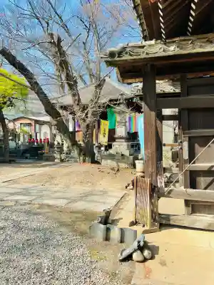 高福寺の{uncategorized: "未分類", other: "その他", undefined: "問題あり", building: "その他建物", grave: "お墓", sacred_gate: "鳥居", guardian: "狛犬", statue: "像", buddha: "仏像", history: "歴史", nature: "自然", garden: "庭園", animal: "動物", pagoda: "塔", temizu: "手水舎", mountain_gate: "山門・神門", sanctuary: "本殿・本堂", subordinate: "末社・摂社", art: "芸術", scenery: "景色", jizo: "地蔵", ema: "絵馬", goshuin: "御朱印", omikuji: "おみくじ", items: "授与品その他", amulet: "お守り", goshuincho: "御朱印帳", eats: "食事", festival: "お祭り", votive_dance: "神楽", shichigosan: "七五三参", wedding: "結婚式", experience: "体験その他", initially: "初詣", around: "周辺", anti_infection: "感染症対策"}