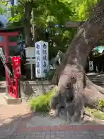 洲嵜神社の自然