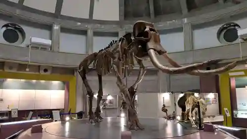 忠類神社の周辺