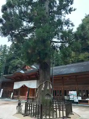 穂高神社本宮(長野県)