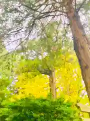 岡見八坂神社(茨城県)