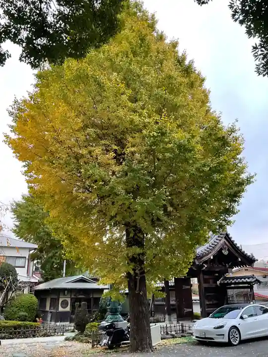 大光寺(神奈川県)