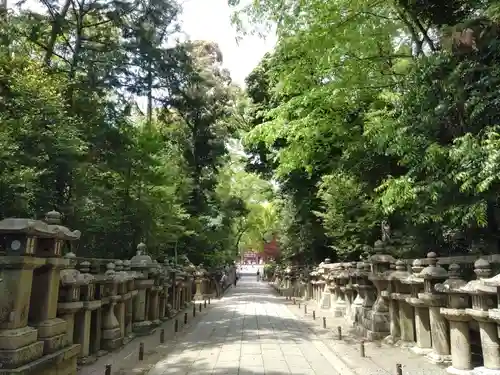 石清水八幡宮の景色