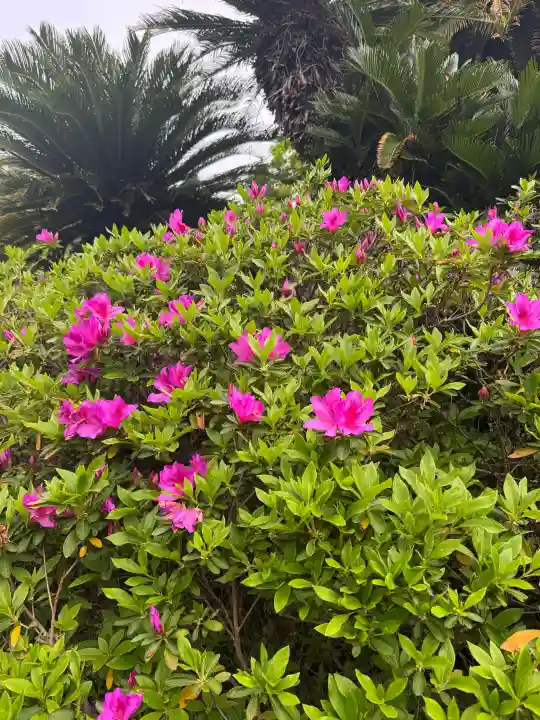 伊勢の国 四天王寺の{uncategorized: "未分類", other: "その他", undefined: "問題あり", building: "その他建物", grave: "お墓", sacred_gate: "鳥居", guardian: "狛犬", statue: "像", buddha: "仏像", history: "歴史", nature: "自然", garden: "庭園", animal: "動物", pagoda: "塔", temizu: "手水舎", mountain_gate: "山門・神門", sanctuary: "本殿・本堂", subordinate: "末社・摂社", art: "芸術", scenery: "景色", jizo: "地蔵", ema: "絵馬", goshuin: "御朱印", omikuji: "おみくじ", items: "授与品その他", amulet: "お守り", goshuincho: "御朱印帳", eats: "食事", festival: "お祭り", votive_dance: "神楽", shichigosan: "七五三参", wedding: "結婚式", experience: "体験その他", initially: "初詣", around: "周辺", anti_infection: "感染症対策"}