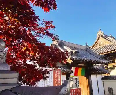 真言宗　善通寺派　薬王寺(香川県)