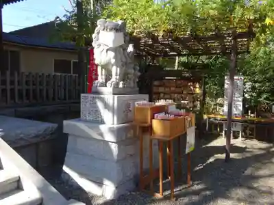お三の宮日枝神社の狛犬