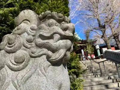 待乳山聖天(本龍院)の狛犬