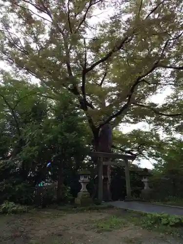 愛宕神社の鳥居