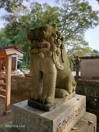 酒列磯前神社の狛犬