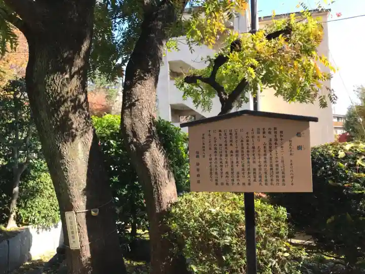 東運寺の自然