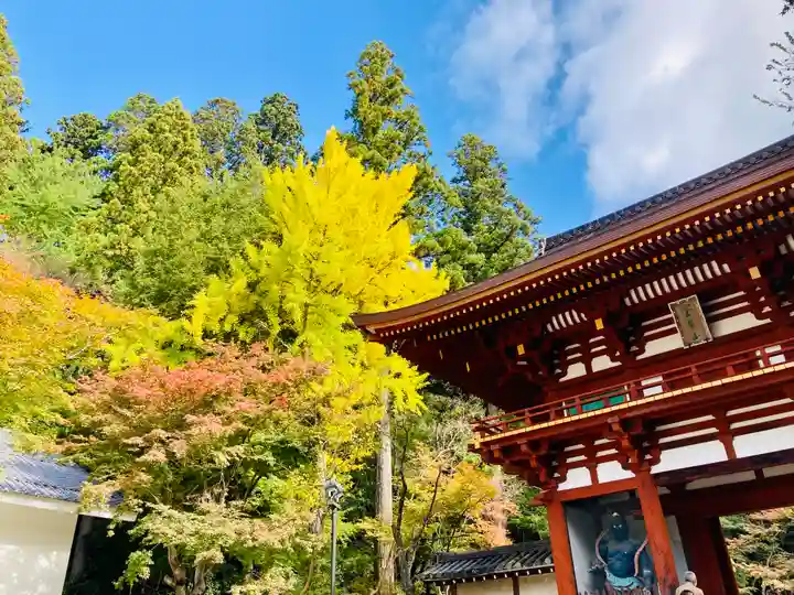 室生寺のその他建物