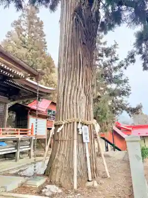 鼬幣稲荷神社の{uncategorized: "未分類", other: "その他", undefined: "問題あり", building: "その他建物", grave: "お墓", sacred_gate: "鳥居", guardian: "狛犬", statue: "像", buddha: "仏像", history: "歴史", nature: "自然", garden: "庭園", animal: "動物", pagoda: "塔", temizu: "手水舎", mountain_gate: "山門・神門", sanctuary: "本殿・本堂", subordinate: "末社・摂社", art: "芸術", scenery: "景色", jizo: "地蔵", ema: "絵馬", goshuin: "御朱印", omikuji: "おみくじ", items: "授与品その他", amulet: "お守り", goshuincho: "御朱印帳", eats: "食事", festival: "お祭り", votive_dance: "神楽", shichigosan: "七五三参", wedding: "結婚式", experience: "体験その他", initially: "初詣", around: "周辺", anti_infection: "感染症対策"}