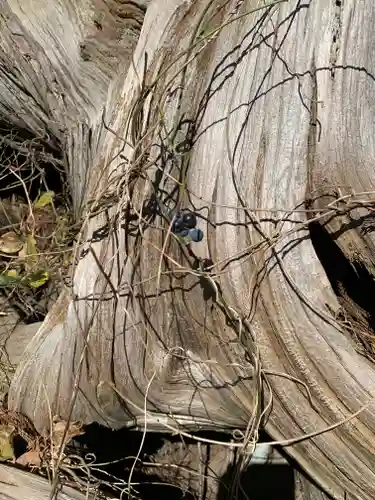 社八幡神社(福島県)