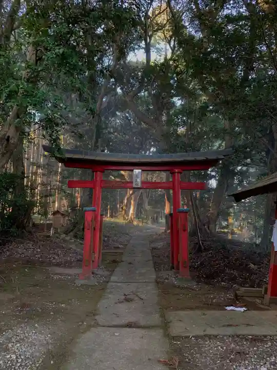 日枝大神の鳥居