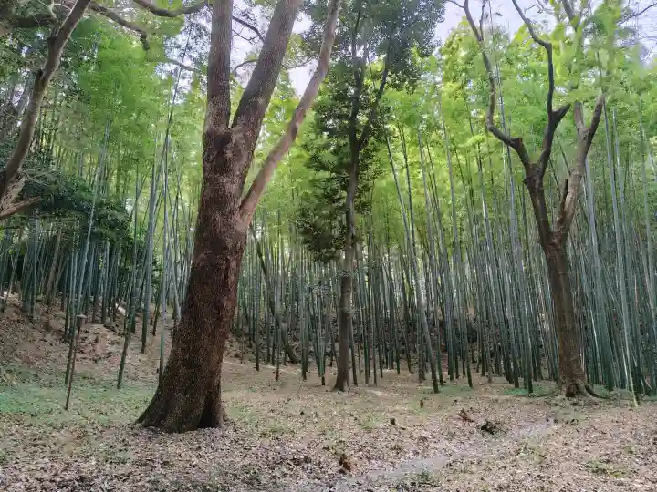 石清水八幡宮の{uncategorized: "未分類", other: "その他", undefined: "問題あり", building: "その他建物", grave: "お墓", sacred_gate: "鳥居", guardian: "狛犬", statue: "像", buddha: "仏像", history: "歴史", nature: "自然", garden: "庭園", animal: "動物", pagoda: "塔", temizu: "手水舎", mountain_gate: "山門・神門", sanctuary: "本殿・本堂", subordinate: "末社・摂社", art: "芸術", scenery: "景色", jizo: "地蔵", ema: "絵馬", goshuin: "御朱印", omikuji: "おみくじ", items: "授与品その他", amulet: "お守り", goshuincho: "御朱印帳", eats: "食事", festival: "お祭り", votive_dance: "神楽", shichigosan: "七五三参", wedding: "結婚式", experience: "体験その他", initially: "初詣", around: "周辺", anti_infection: "感染症対策"}