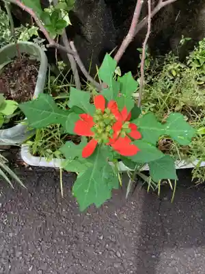 供養堂祠(愛知県)