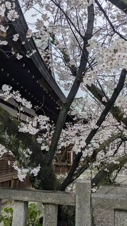 天孫神社(滋賀県)