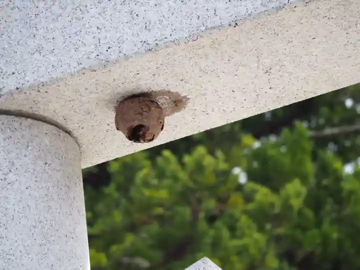 諏訪大社の動物