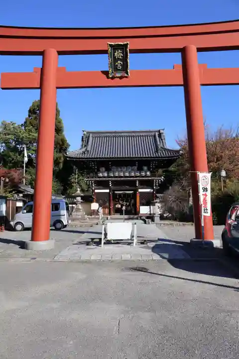 梅宮大社(京都府)
