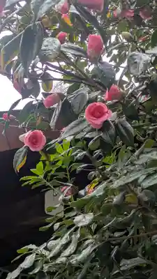 京都大神宮(京都府)