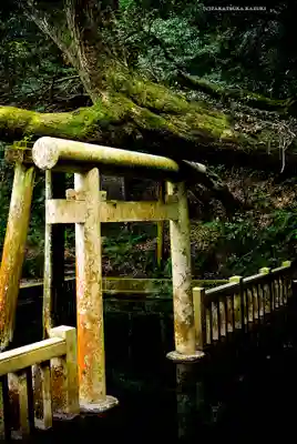 奥宮(鹿島神宮摂社)(茨城県)