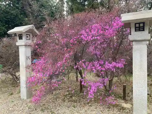 廣田神社(兵庫県)