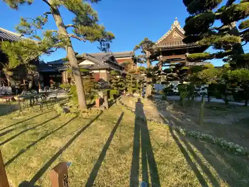 宣隆寺の庭園