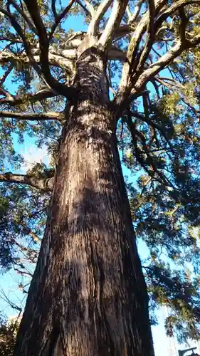 下神明天祖神社(東京都)