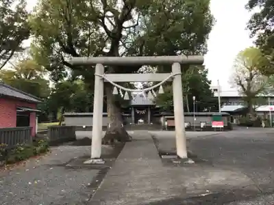 日吉浅間神社の鳥居