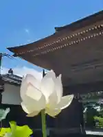 普門寺(切り絵御朱印発祥の寺)のその他建物