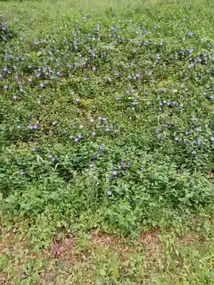 白狐山光星寺(山形県)