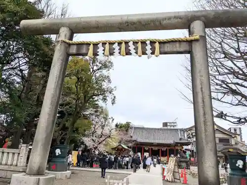 浅草神社の鳥居