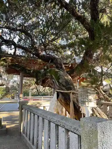 高砂神社の庭園