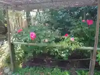 東長谷寺 薬王院の庭園