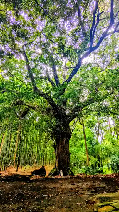 七百餘所神社 の自然