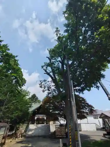厚別神社(北海道)